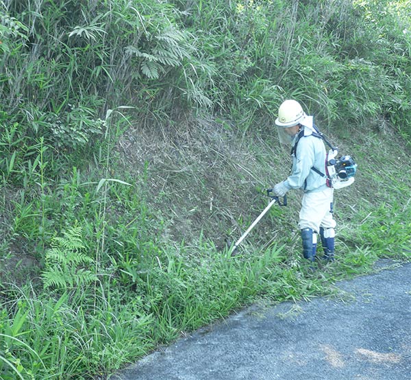 発電所設備周辺での除草作業